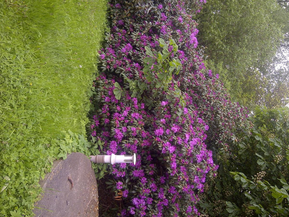 Bed and Breakfast Buntes Moor Grasberg Экстерьер фото